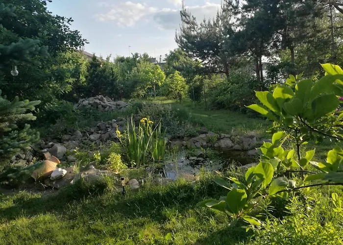 Wellspring