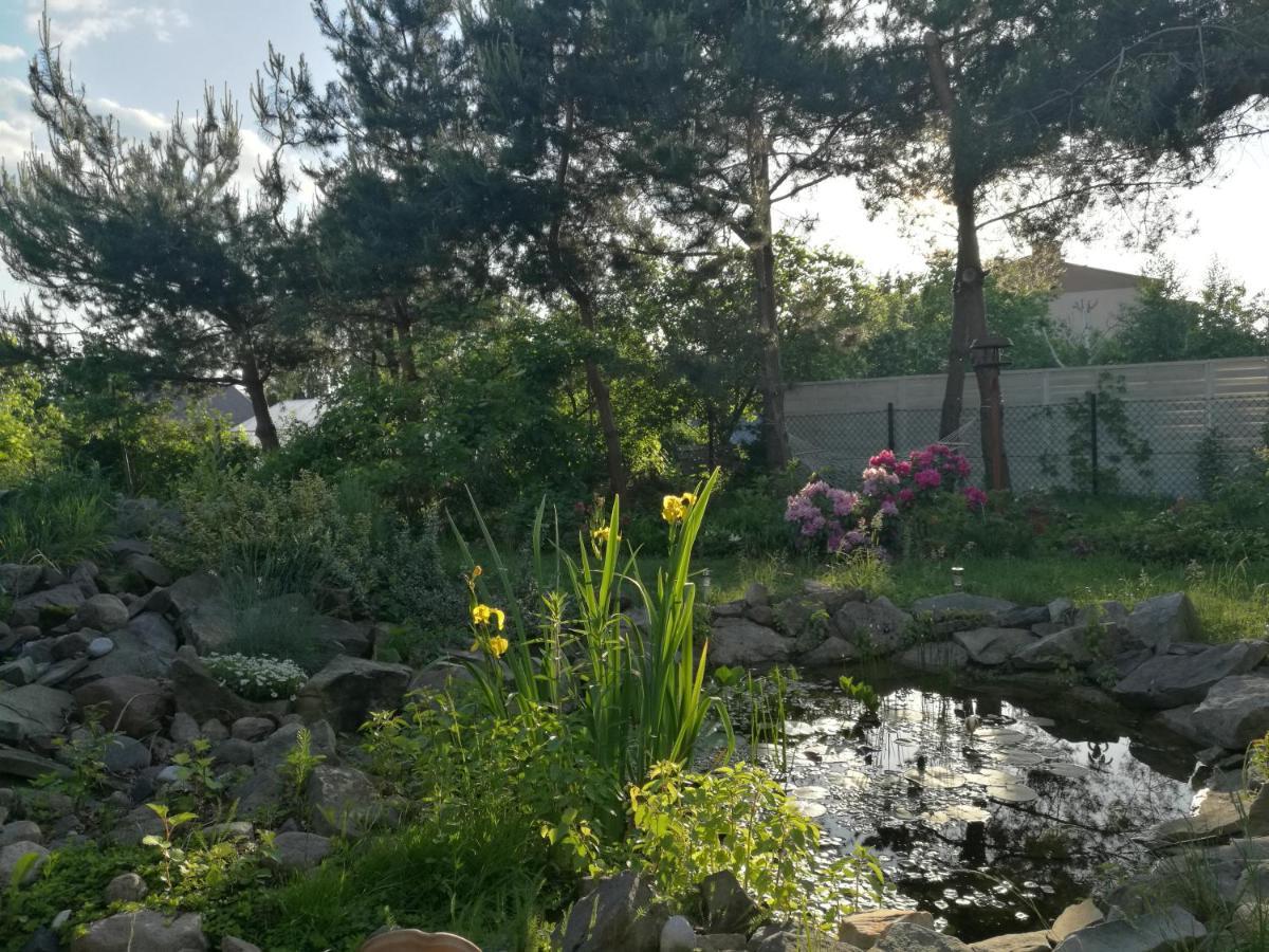 Wellspring *